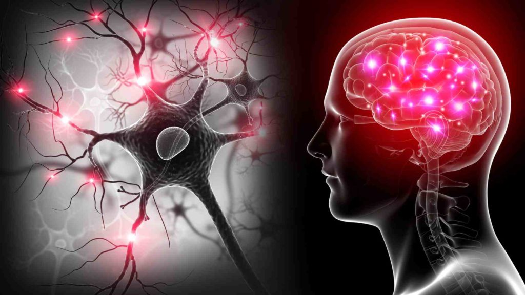 Image of brain activity and neurons in reference to how semen retention works.