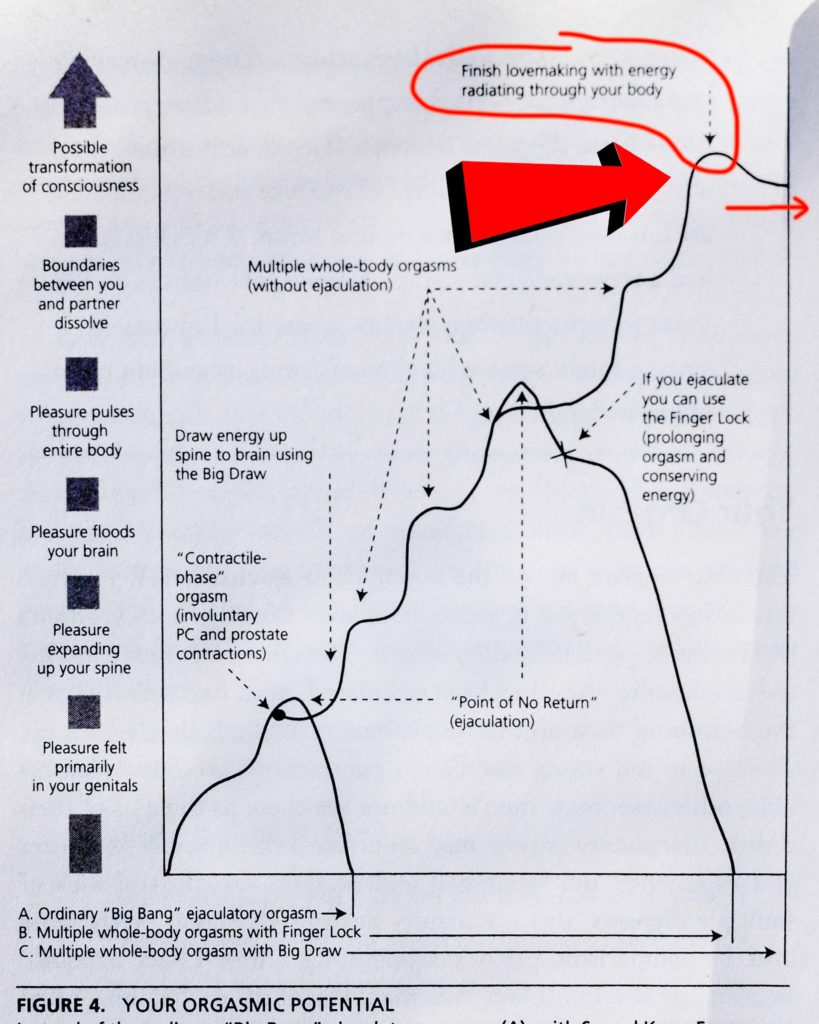 Graphic from the Multiorgasmic Man book by Mantak Chia.