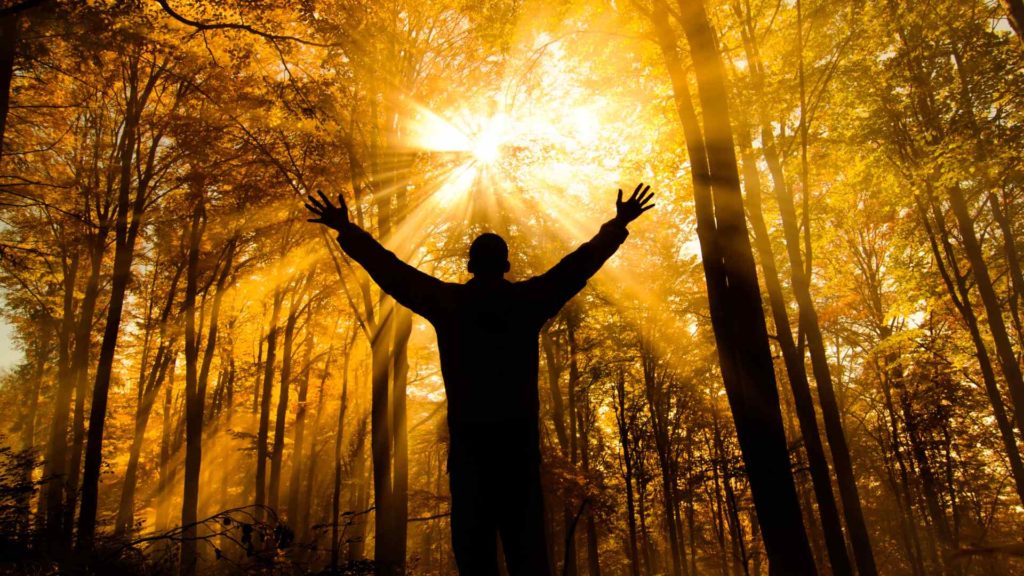 Photograph of man in woods having a spiritual experience.
